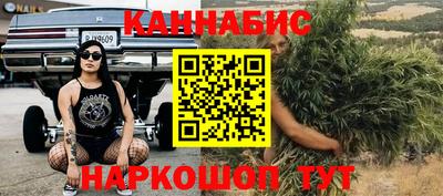 стафф Будённовск
