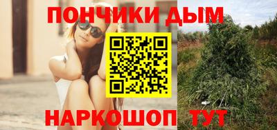 спиды Шебекино